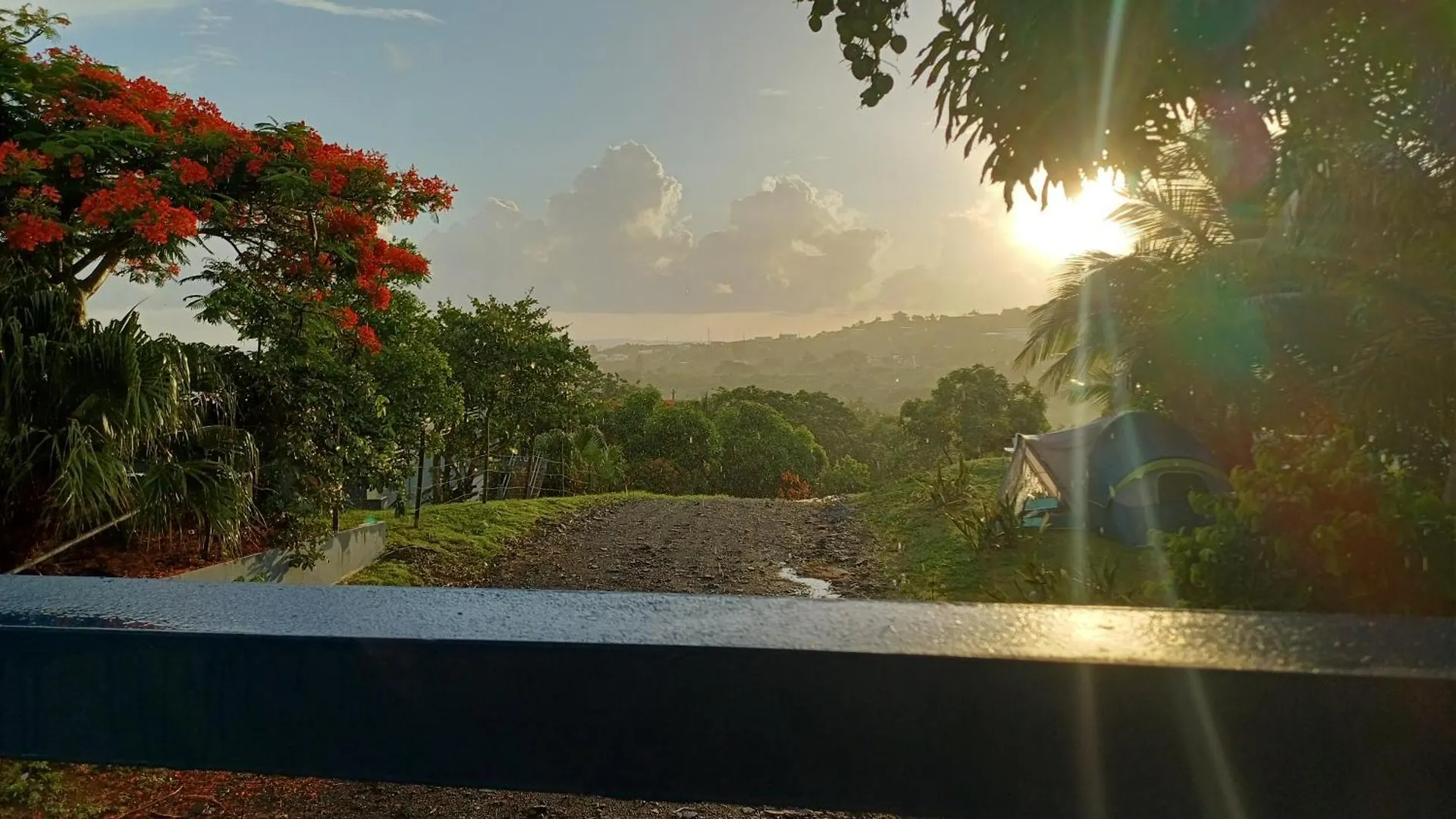 Luxe tent Rooster Run Glamping Camping Has Rooftop And Off The Ground Glamping Experience For 1 To 16 In A Single Tent And Views Of The Rain Forrest And To Culebra Across The Atlantic Ocean W Tents, Linens, Deluxe Air Beds, Warm Shower And More At A Great Pric Vieques
