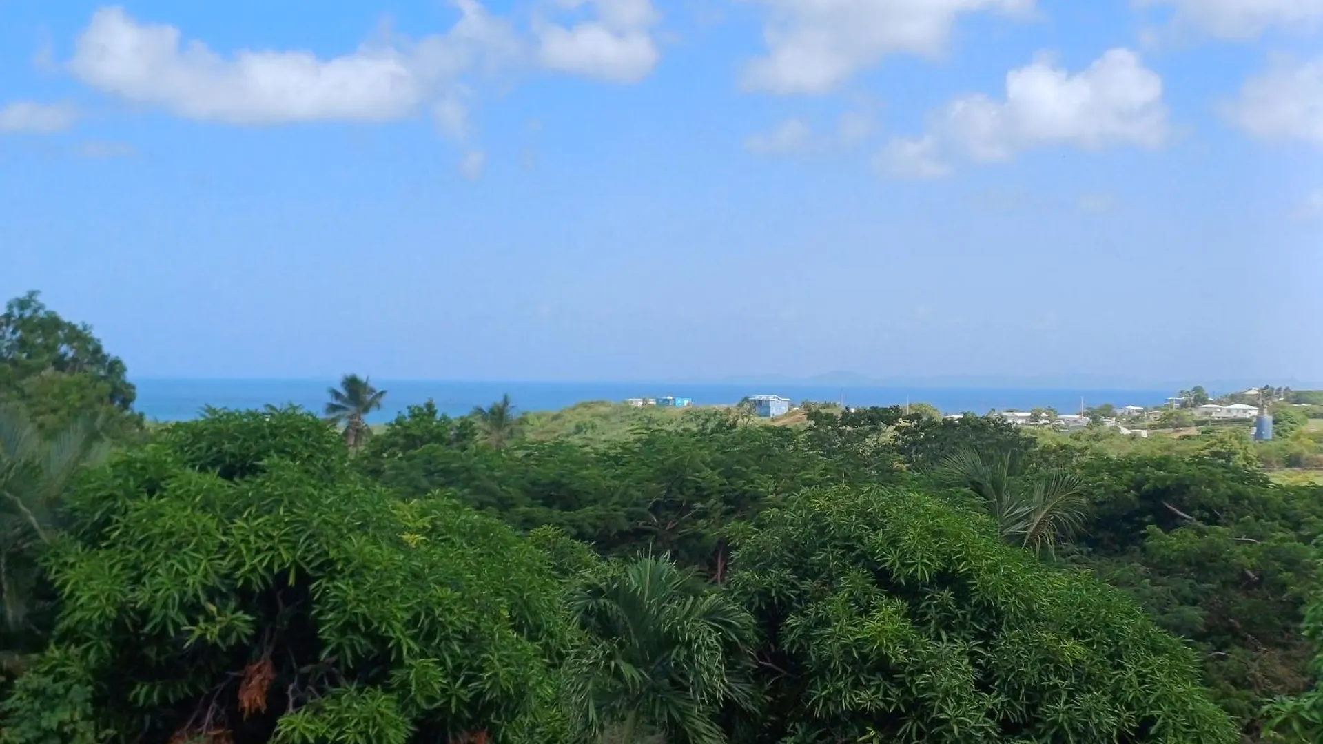 Luxe tent Rooster Run Glamping Camping Has Rooftop And Off The Ground Glamping Experience For 1 To 16 In A Single Tent And Views Of The Rain Forrest And To Culebra Across The Atlantic Ocean W Tents, Linens, Deluxe Air Beds, Warm Shower And More At A Great Pric Vieques