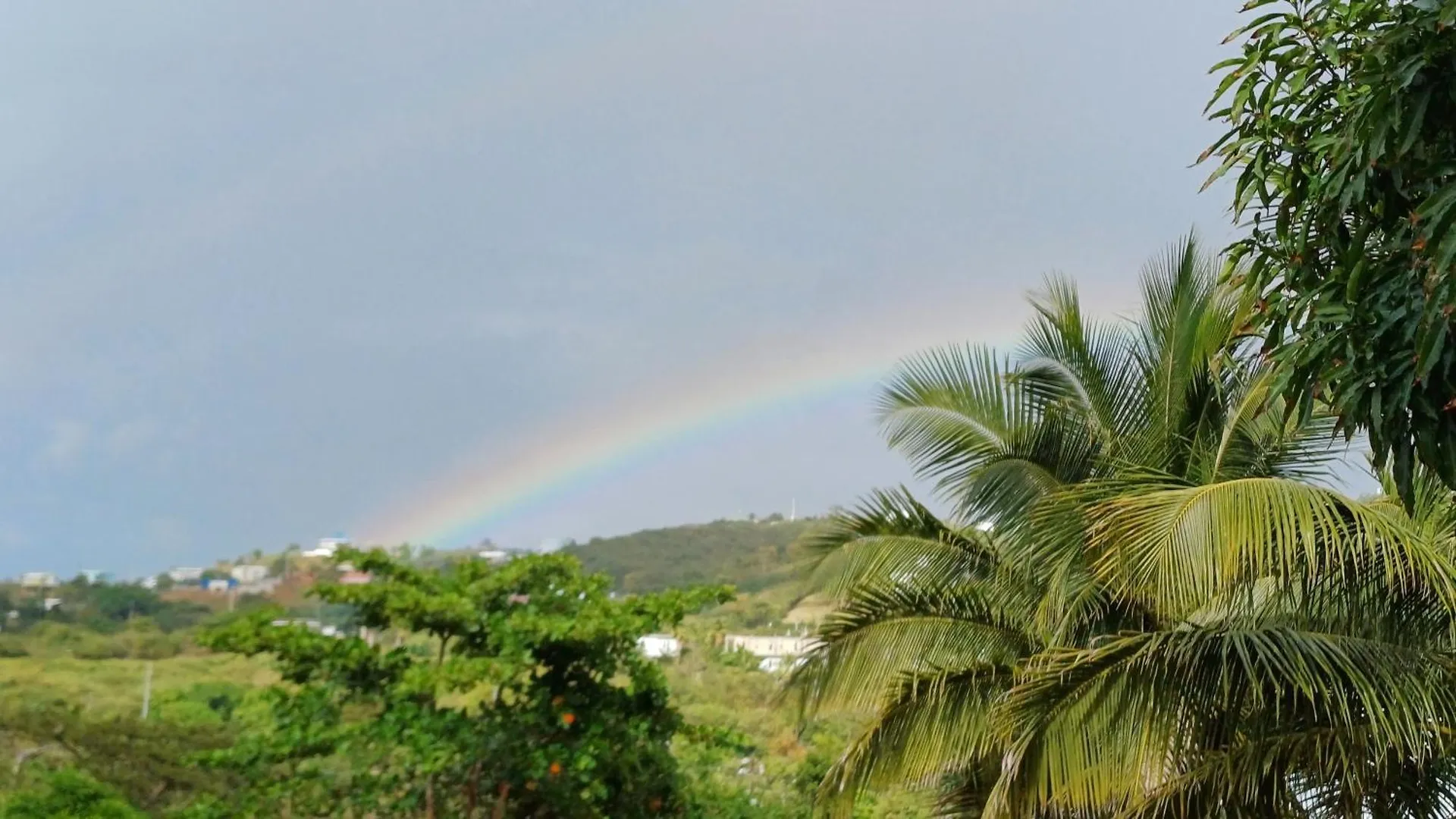Luxe tent Rooster Run Glamping Camping Has Rooftop And Off The Ground Glamping Experience For 1 To 16 In A Single Tent And Views Of The Rain Forrest And To Culebra Across The Atlantic Ocean W Tents, Linens, Deluxe Air Beds, Warm Shower And More At A Great Pric Vieques Puerto Rico