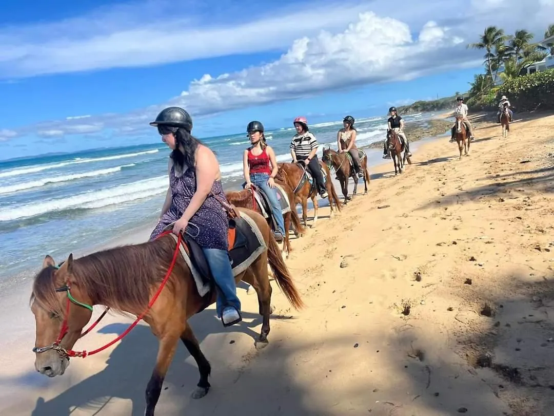 Luxe tent Rooster Run Glamping Camping Has Rooftop And Off The Ground Glamping Experience For 1 To 16 In A Single Tent And Views Of The Rain Forrest And To Culebra Across The Atlantic Ocean W Tents, Linens, Deluxe Air Beds, Warm Shower And More At A Great Pric Vieques Puerto Rico